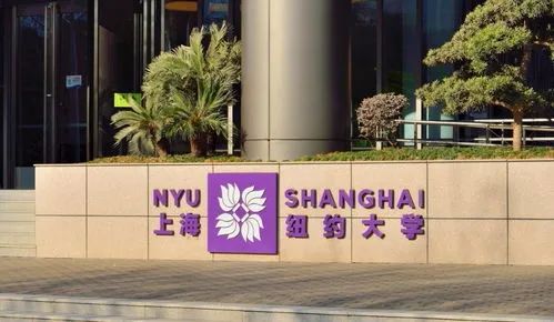 在上海纽约大学读书是一种什么体验？