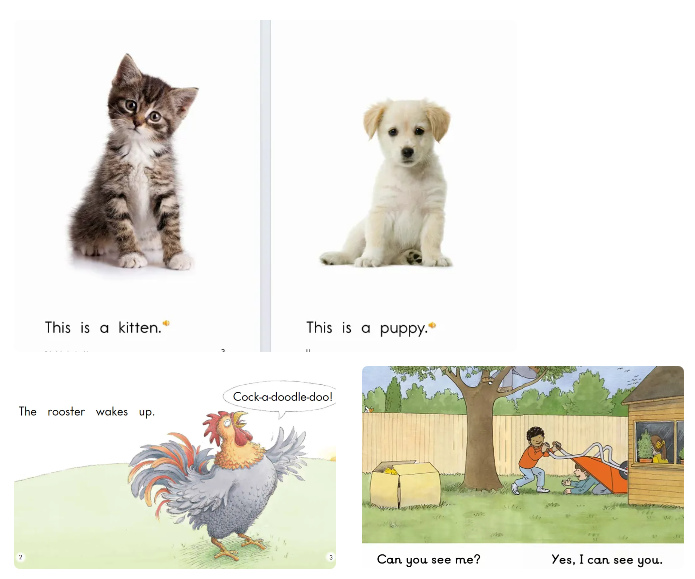 英文分级读物终极对比：Raz、海尼曼、牛津阅读树怎么选？附年龄适配指南