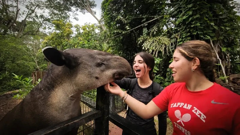 名校敲门砖：藤校们开了哪些优质夏校？